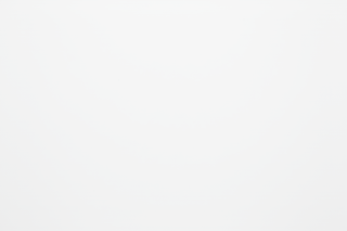 plain white background